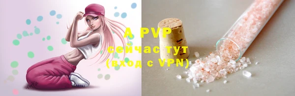 хмурый Михайловск
