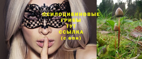 хмурый Михайловск