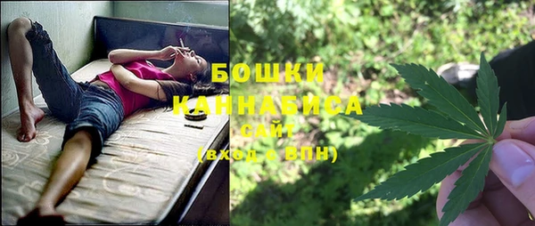 хмурый Михайловск