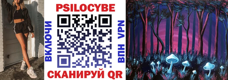 купить наркоту  Фурманов  Псилоцибиновые грибы Psilocybine cubensis 