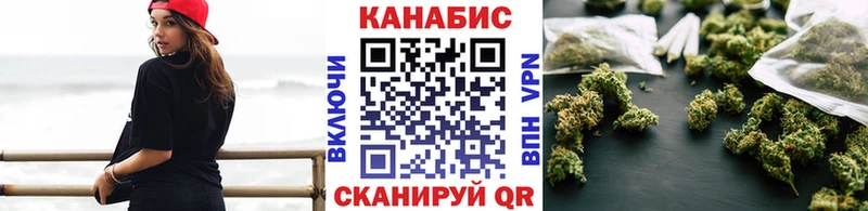 Конопля сатива  закладка  Фурманов 